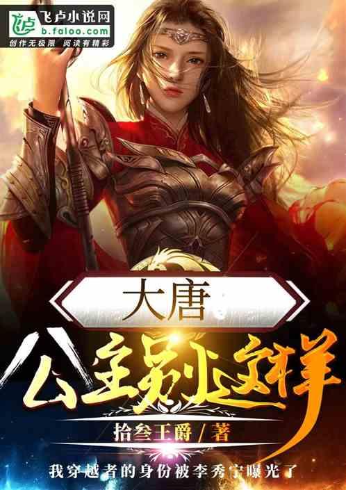 疯狂的小偷